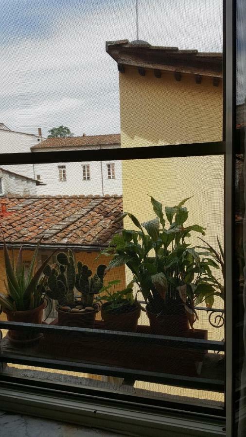 Mavi'S Bedrooms Lucca Esterno foto
